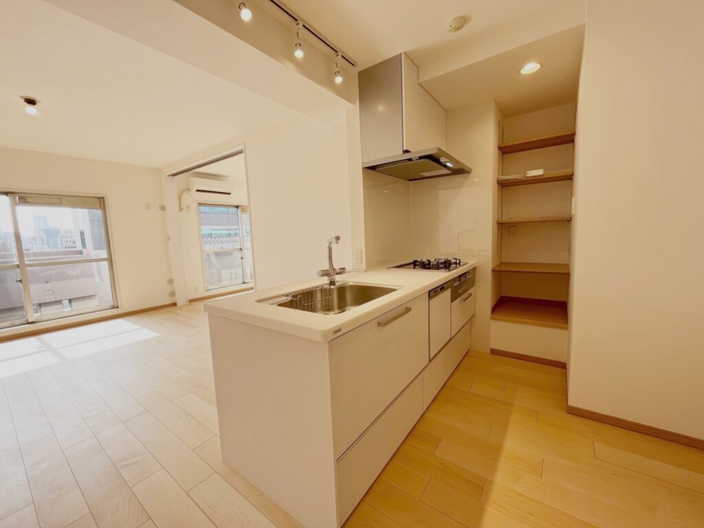 トイレの向きを変更して出来たスペースに可動式収納棚を設置。照明はダクトレールにスポットライト取り付け、自由に調整できます。