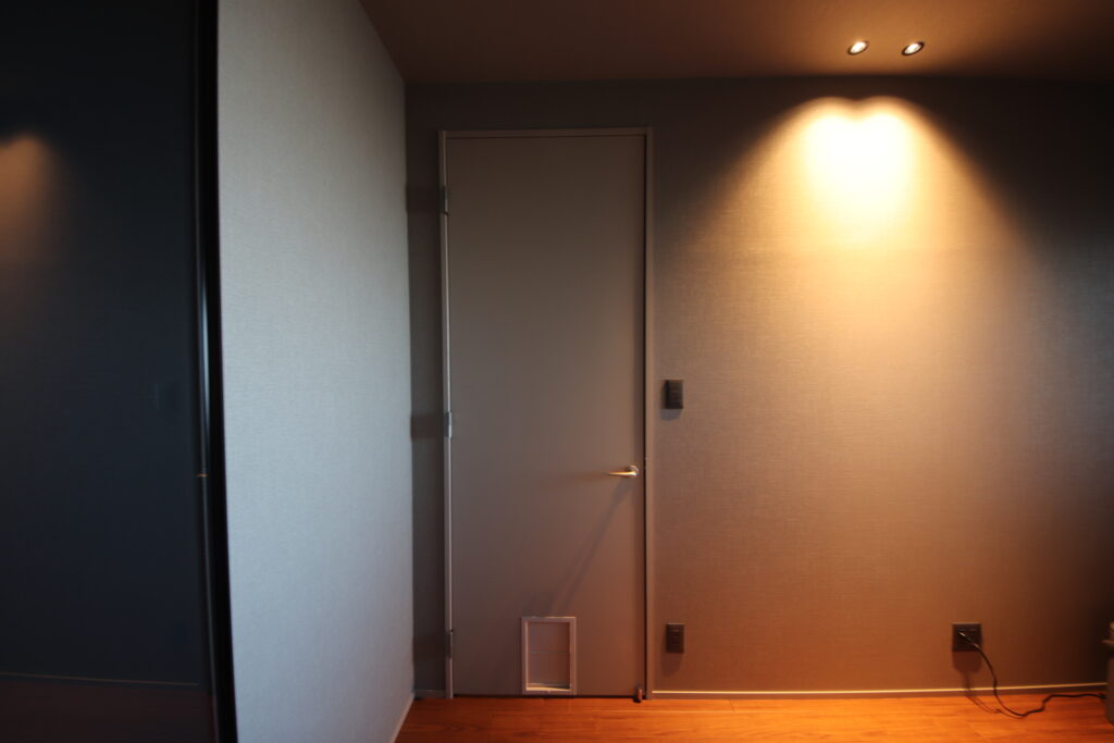 あえて小口径ダウンライトを使用。